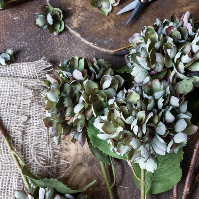 Hydrangea Chloris Stem