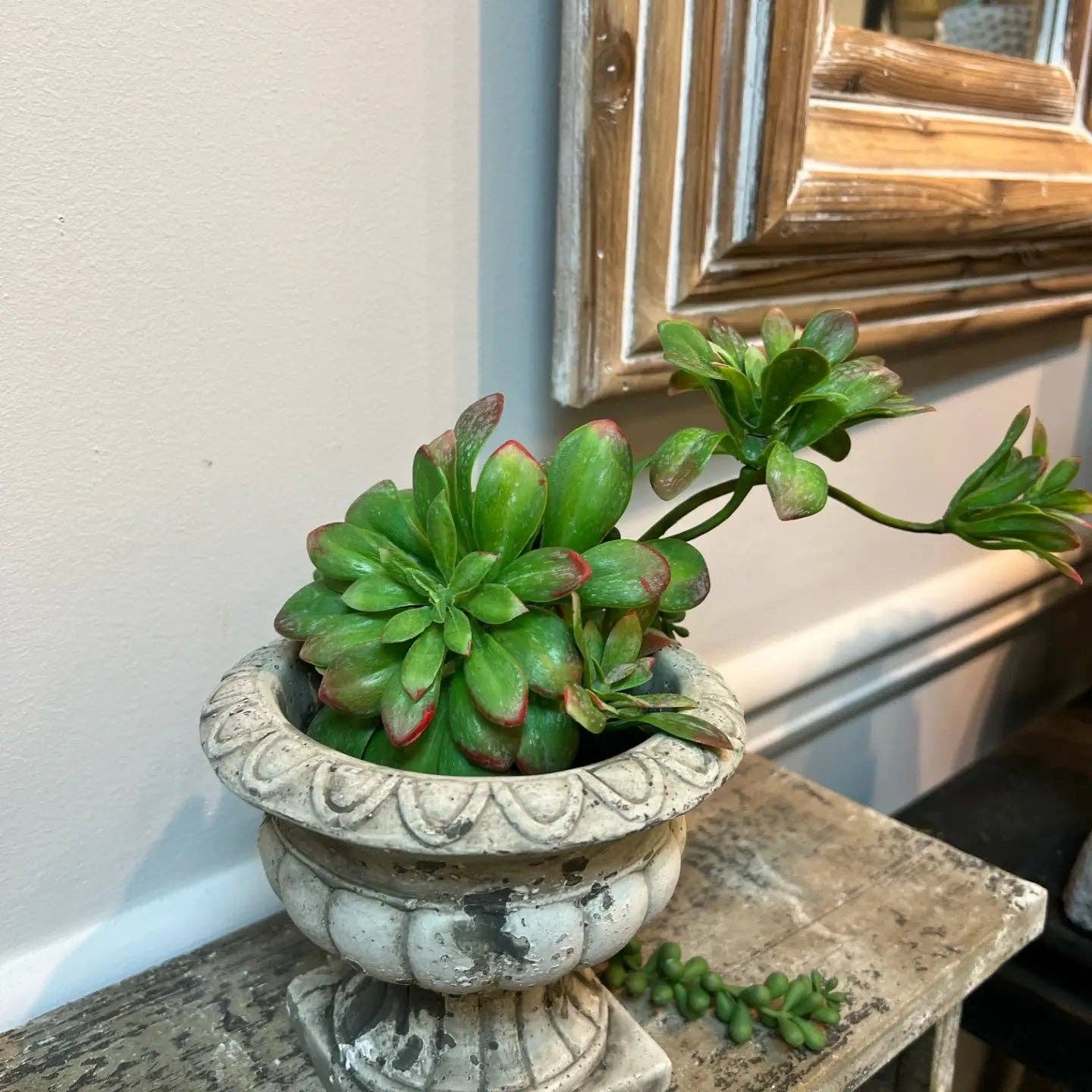 The Mini Herb Planter Urn