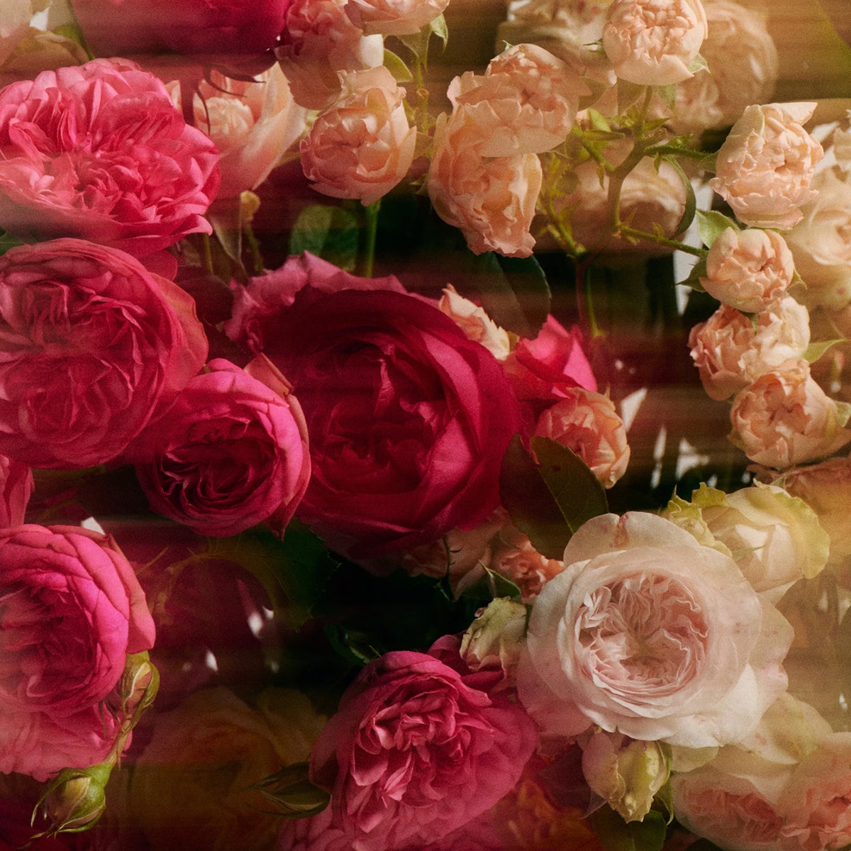 The Jasmine Damask Rose Hand Soap