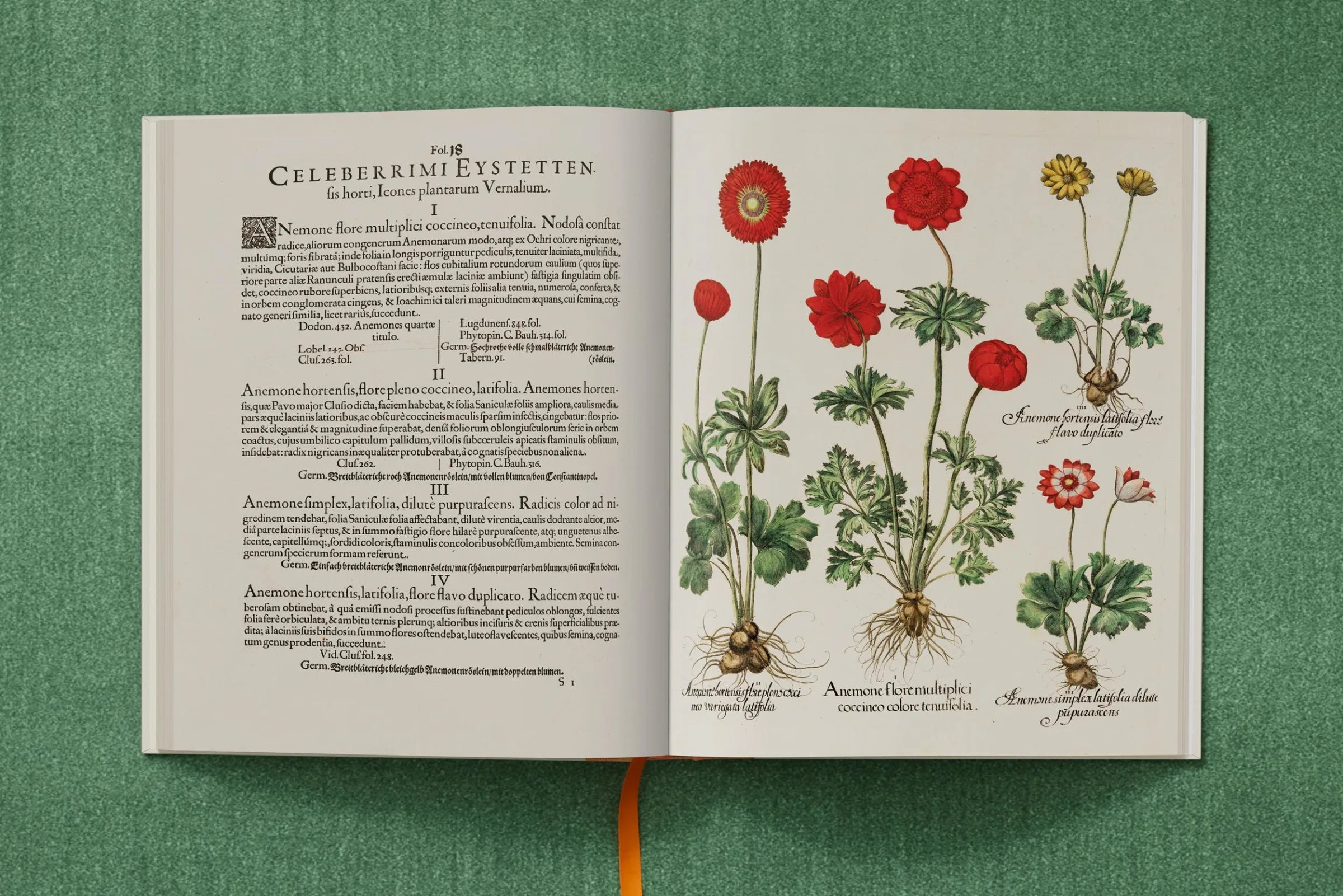 The Garden at Eichstatt- Basilius Besler Box Set