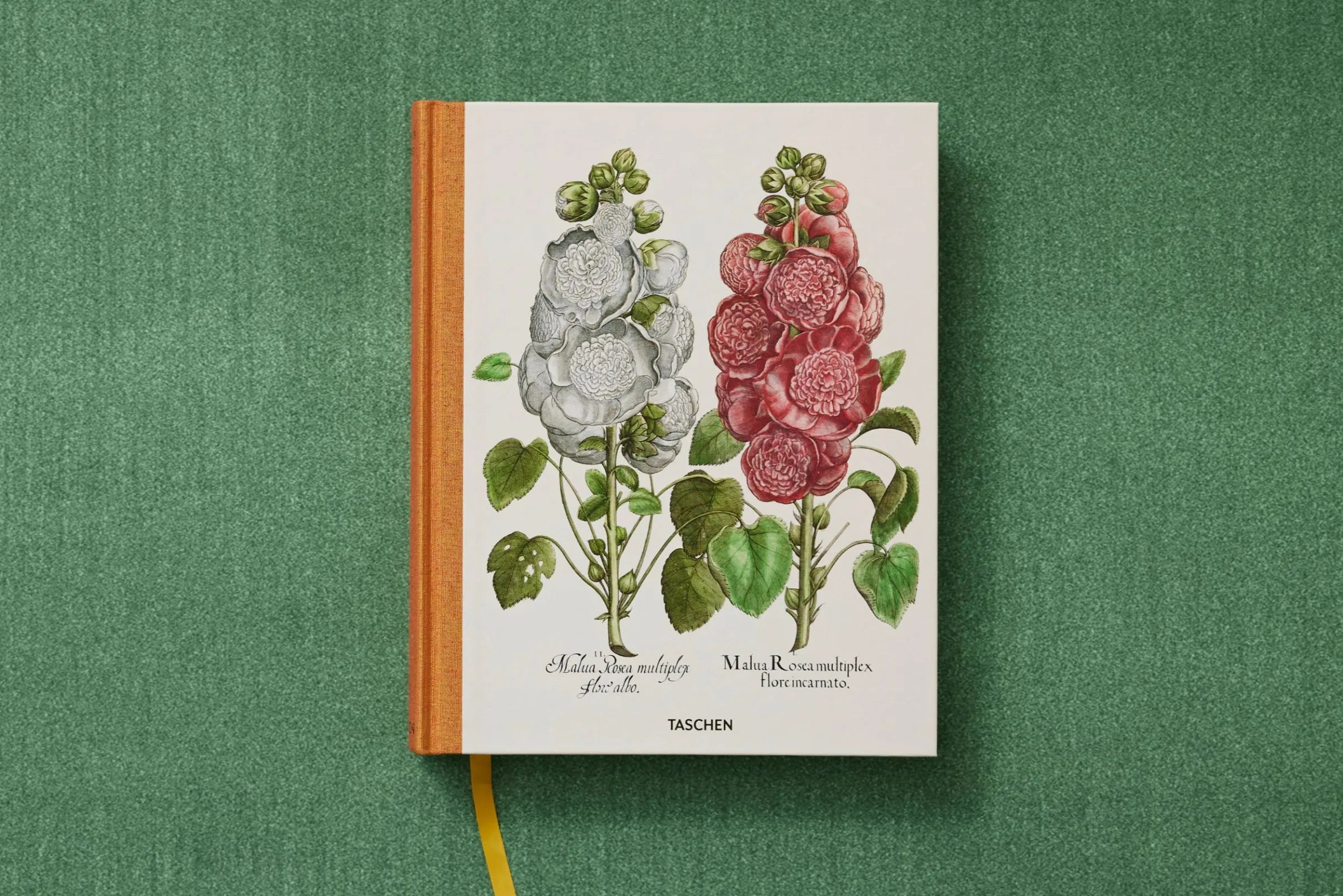 The Garden at Eichstatt- Basilius Besler Box Set