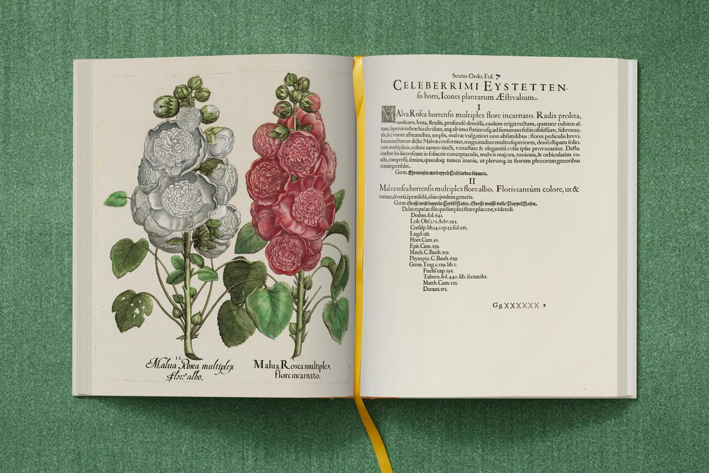 The Garden at Eichstatt- Basilius Besler Box Set