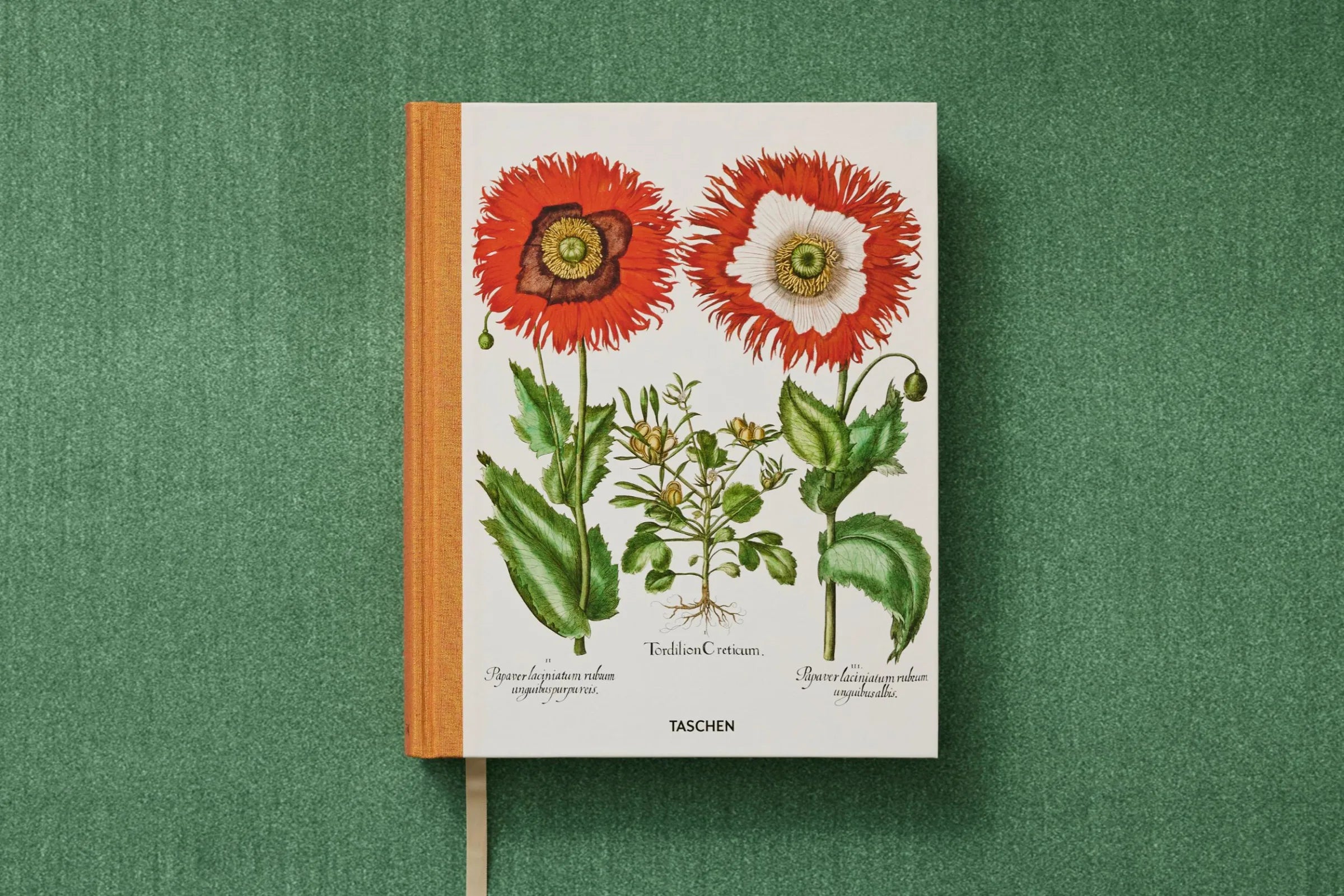 The Garden at Eichstatt- Basilius Besler Box Set