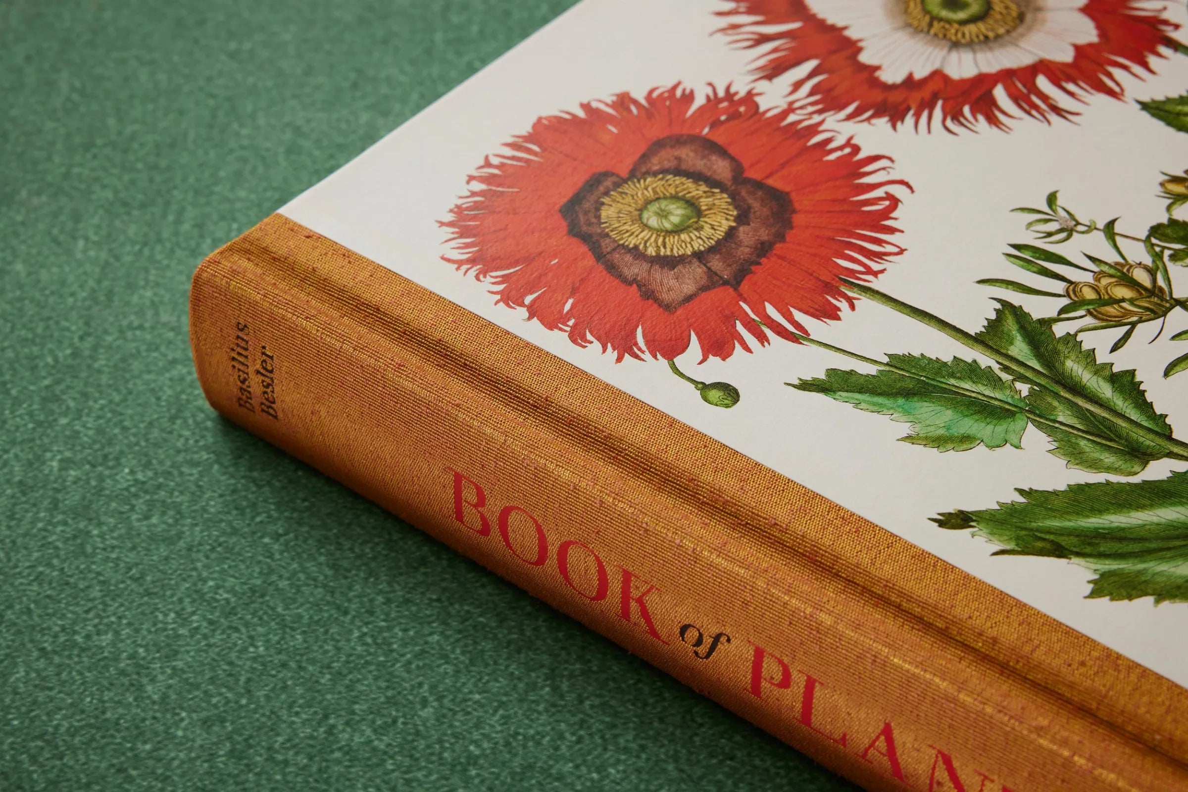 The Garden at Eichstatt- Basilius Besler Box Set