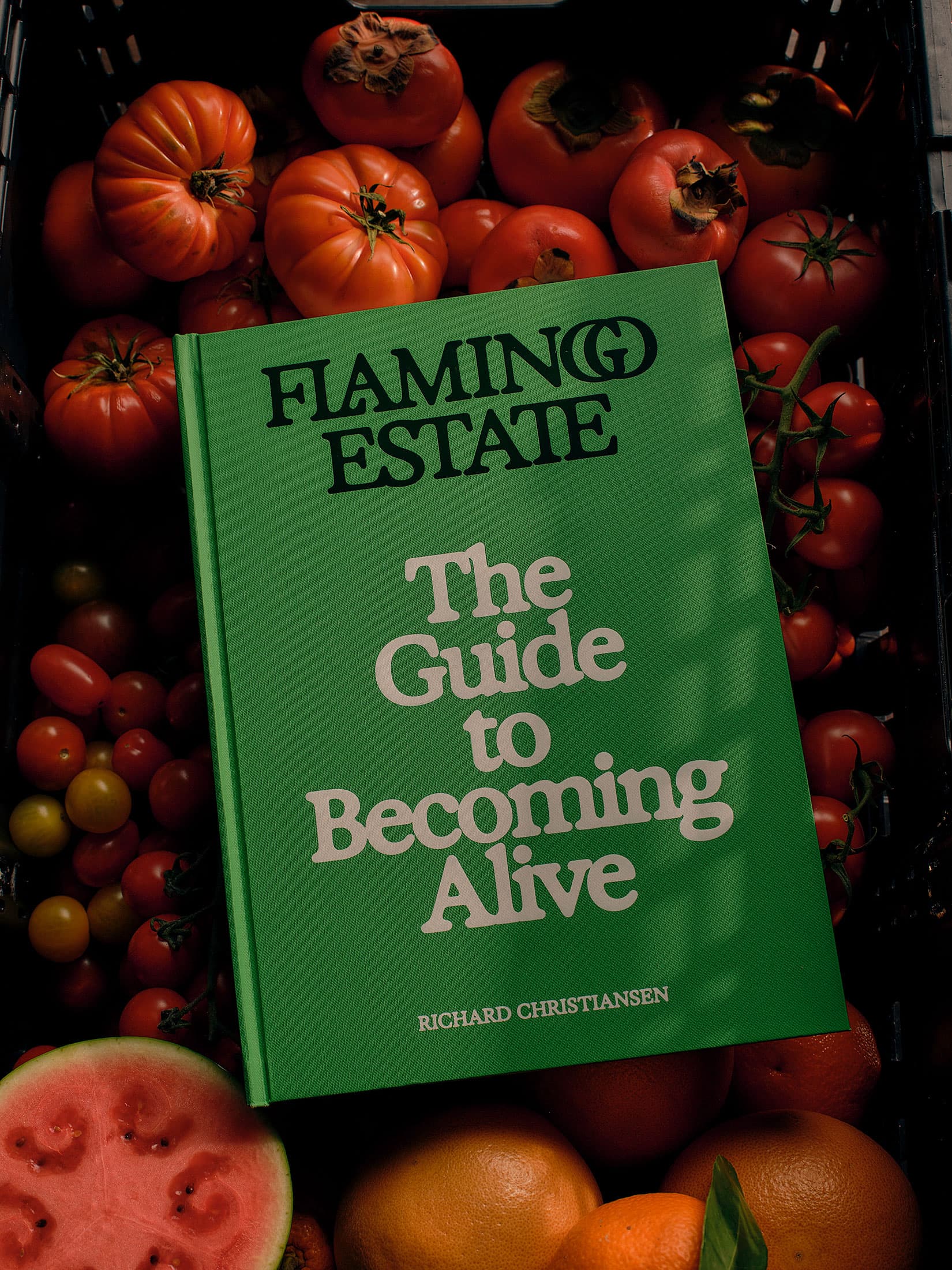 The Guide To Becoming Alive