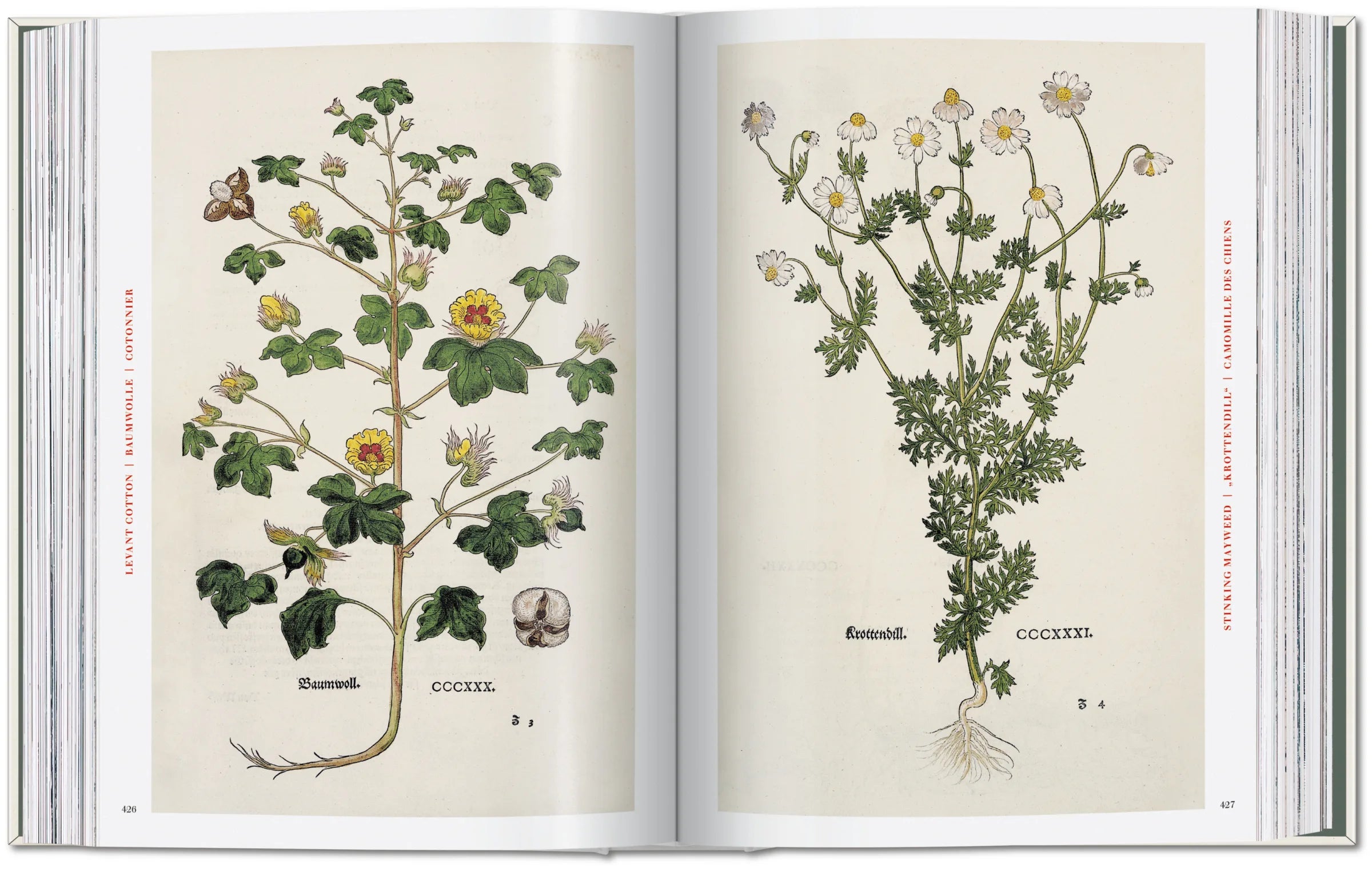 The New Herbal