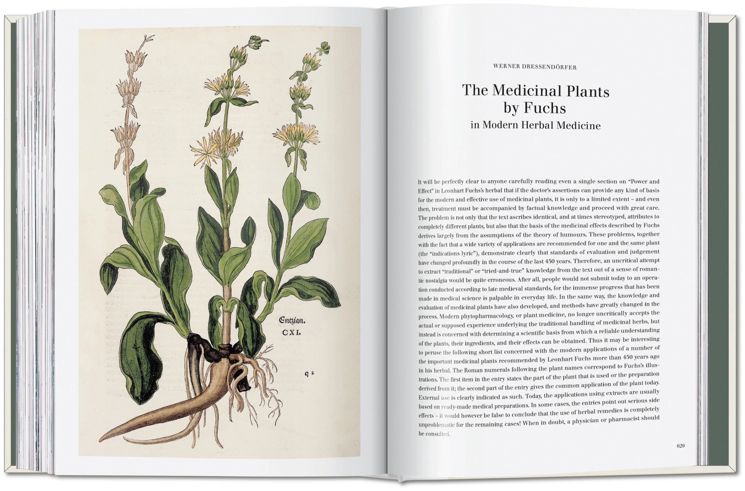 The New Herbal