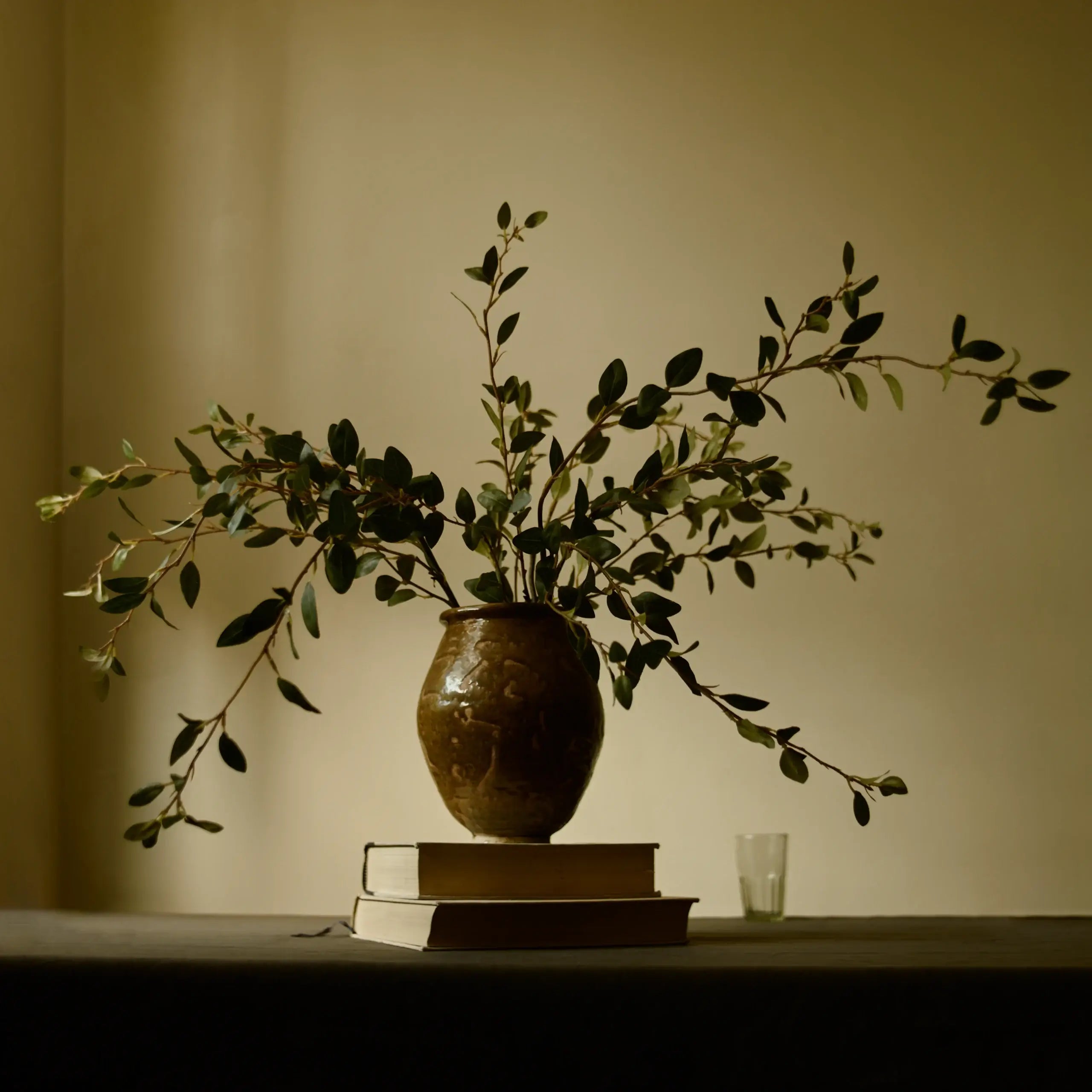The Creeping Willow Branch
