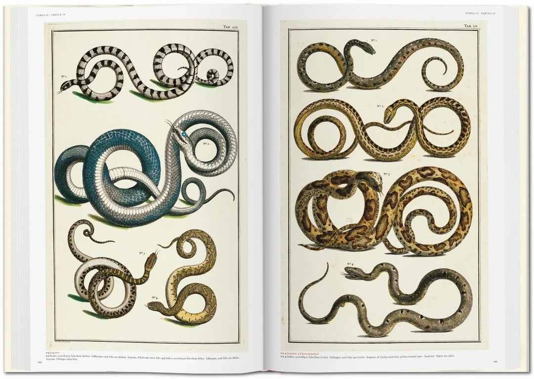 Cabinet of Natural Curiosities